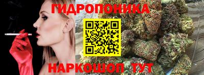 spice Бузулук