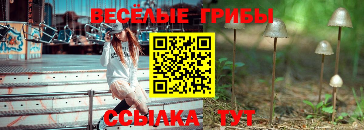 Галлюциногенные грибы мицелий  Псилоцибиновые грибы Magic Shrooms  Вход с VPN  Лосино-Петровский 