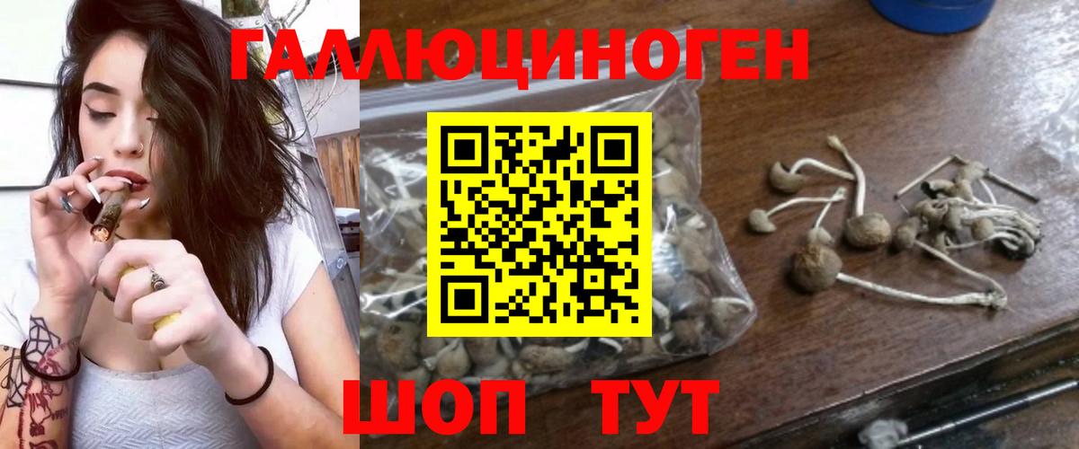 Псилоцибиновые грибы Psilocybe Лосино-Петровский